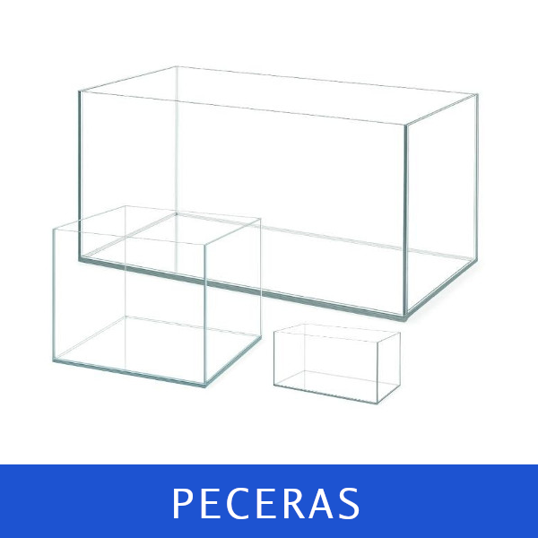 Slide2